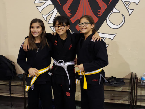 Martial Arts School «Phoenix BJJ & MMA Academy», reviews and photos, 500 N Bullard Ave #31, Goodyear, AZ 85338, USA