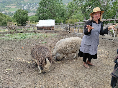 La Petite Ferme des Regains à Villar-Saint-Pancrace