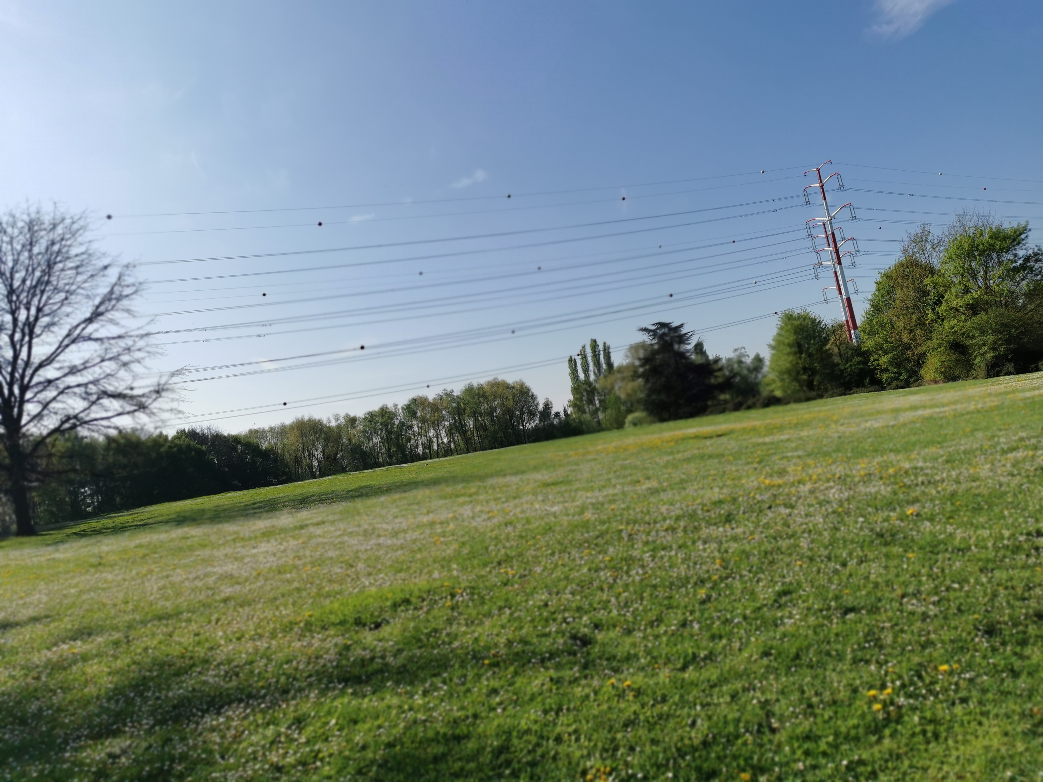 Photo n° 35 de l'avis de Fokop.i fait le 17/04/2022 à 14:37