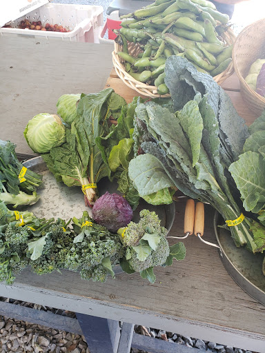 Tourist Attraction «Tonnemaker Valley Farm & Woodinville Farm Stand», reviews and photos, 16215 140th Pl NE, Woodinville, WA 98072, USA