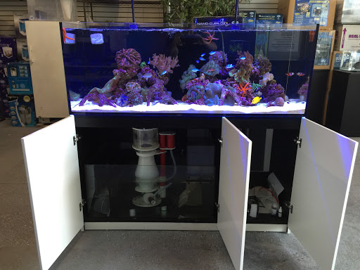 Tropical Fish Store «Lax Aquarium», reviews and photos, 5310 W Century Blvd, Los Angeles, CA 90045, USA