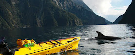 Roscos Milford Sound Kayaks