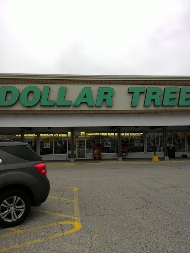 Dollar Store «Dollar Tree», reviews and photos, 8727 S Ridgeland Ave, Oak Lawn, IL 60453, USA