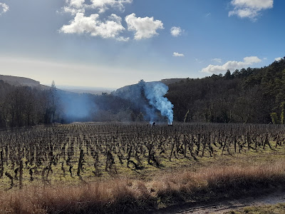 Domaine Rollin - Père et fils à Pernand-Vergelesses