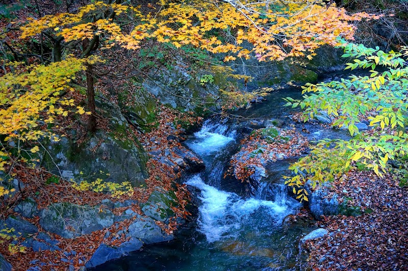 箱淵の滝