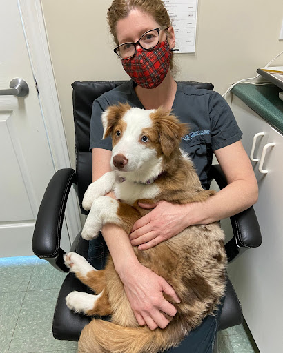 Mountain Road Animal Hospital image