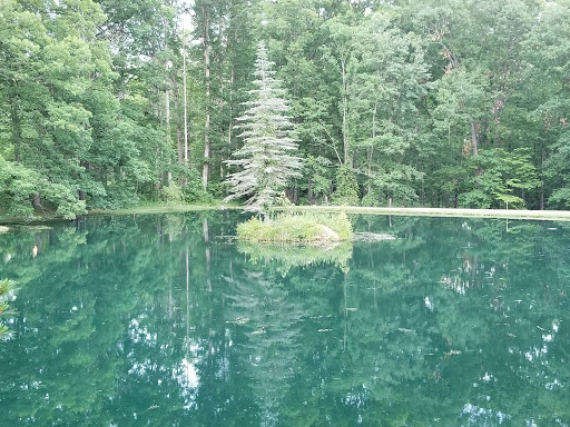 Event Venue «Stable Studios», reviews and photos, 2034 Dubois Rd, Spencer, IN 47460, USA