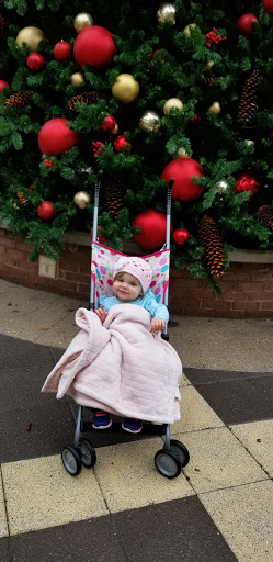 Shopping Mall «Mall of Louisiana», reviews and photos, 6401 Bluebonnet Blvd, Baton Rouge, LA 70836, USA