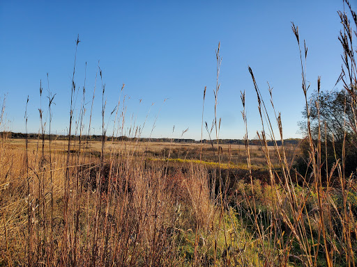 Bird Watching Area «Haehnle Sanctuary», reviews and photos, Seymour Rd, Pleasant Lake, MI 49272, USA