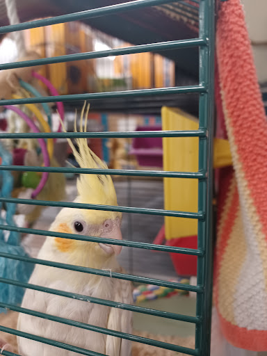 Pet Store «The Pet Works», reviews and photos, 1257 Commerce Ave, Longview, WA 98632, USA