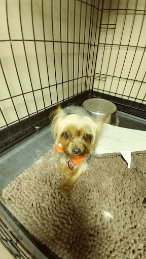 Pet Store «Pet Valu», reviews and photos, 2645 Shillington Rd, Sinking Spring, PA 19608, USA