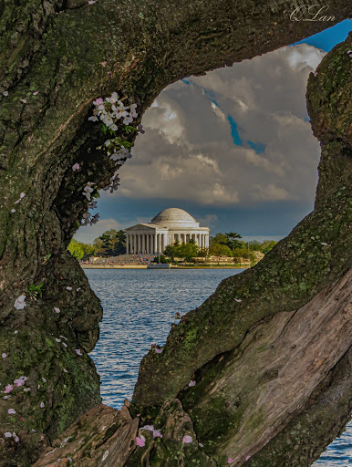 Monument «Thomas Jefferson Memorial», reviews and photos, 701 E Basin Dr SW, Washington, DC 20242, USA