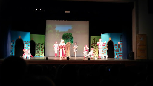 Performing Arts Theater «Cutting Hall Performing Arts Center», reviews and photos, 150 E Wood St, Palatine, IL 60067, USA