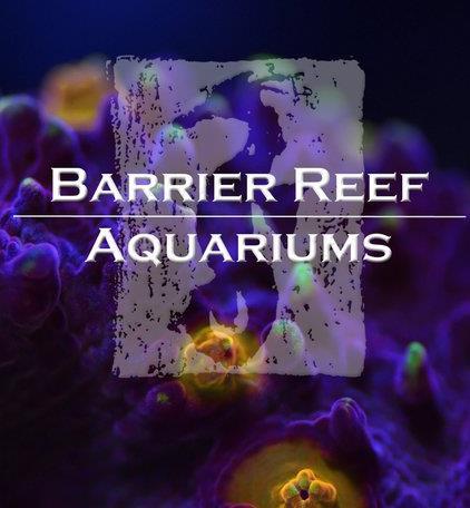 Tropical Fish Store «Barrier Reef Aquariums», reviews and photos, 1717 NE 44th St # A, Renton, WA 98056, USA