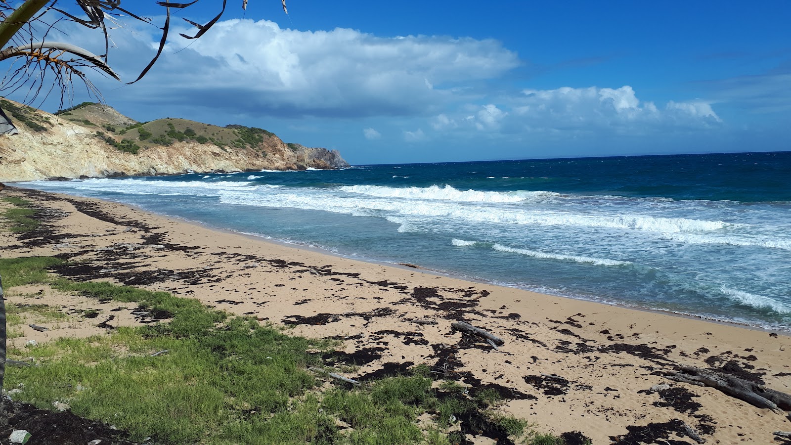 Plage de Grande Anse beach on the map with photos and reviews🏖️