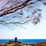 Photo n°1 de l'avis de Marco.v fait le 29/06/2019 à 13:31 sur le  Villaggio Camping Baia della Tufara à Vieste