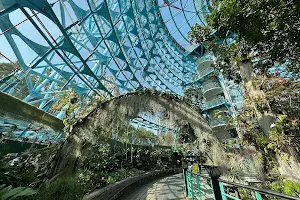 Tropic Rain Forest Green House in National Museum of Natural Science image