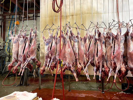 Butcher Shop «Alhoda Market بقالة الهدى», reviews and photos, 304 Prospect St, Cambridge, MA 02139, USA