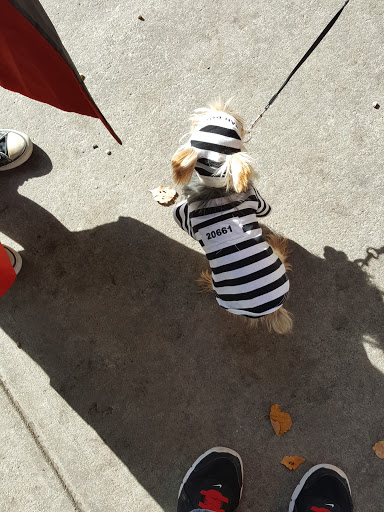 Dog Park «South Boston Bark Park», reviews and photos, 1280 Columbia Rd, Boston, MA 02127, USA