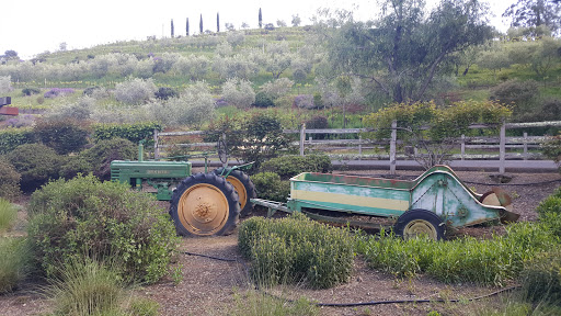 Winery «Benziger Family Winery», reviews and photos, 1883 London Ranch Rd, Glen Ellen, CA 95442, USA