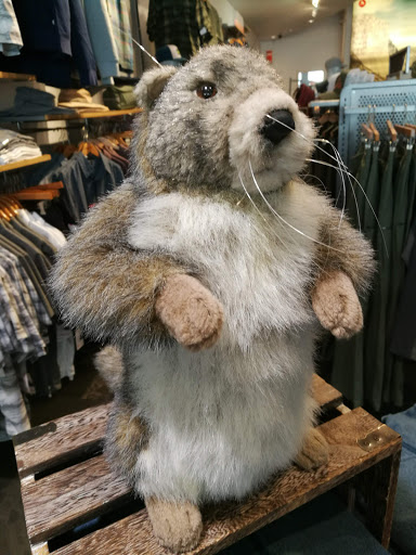 Sportswear Store «Marmot», reviews and photos, 165 Post St, San Francisco, CA 94108, USA