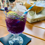 Photo n°1 de l'avis de Marcel.. fait le 30/01/2024 à 19:03 sur le  Die Vorburg à 