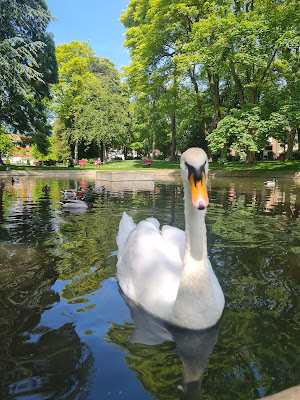 Parc Public à Hénin-Beaumont