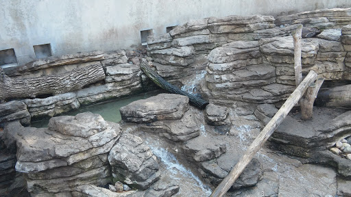 Zoo «Blank Park Zoo», reviews and photos, 7401 SW 9th St, Des Moines, IA 50315, USA