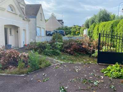 Espace vert 77 - Élagage et abattage d'arbres à Courtry