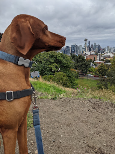 Park «Kerry Park», reviews and photos, 211 W Highland Dr, Seattle, WA 98119, USA