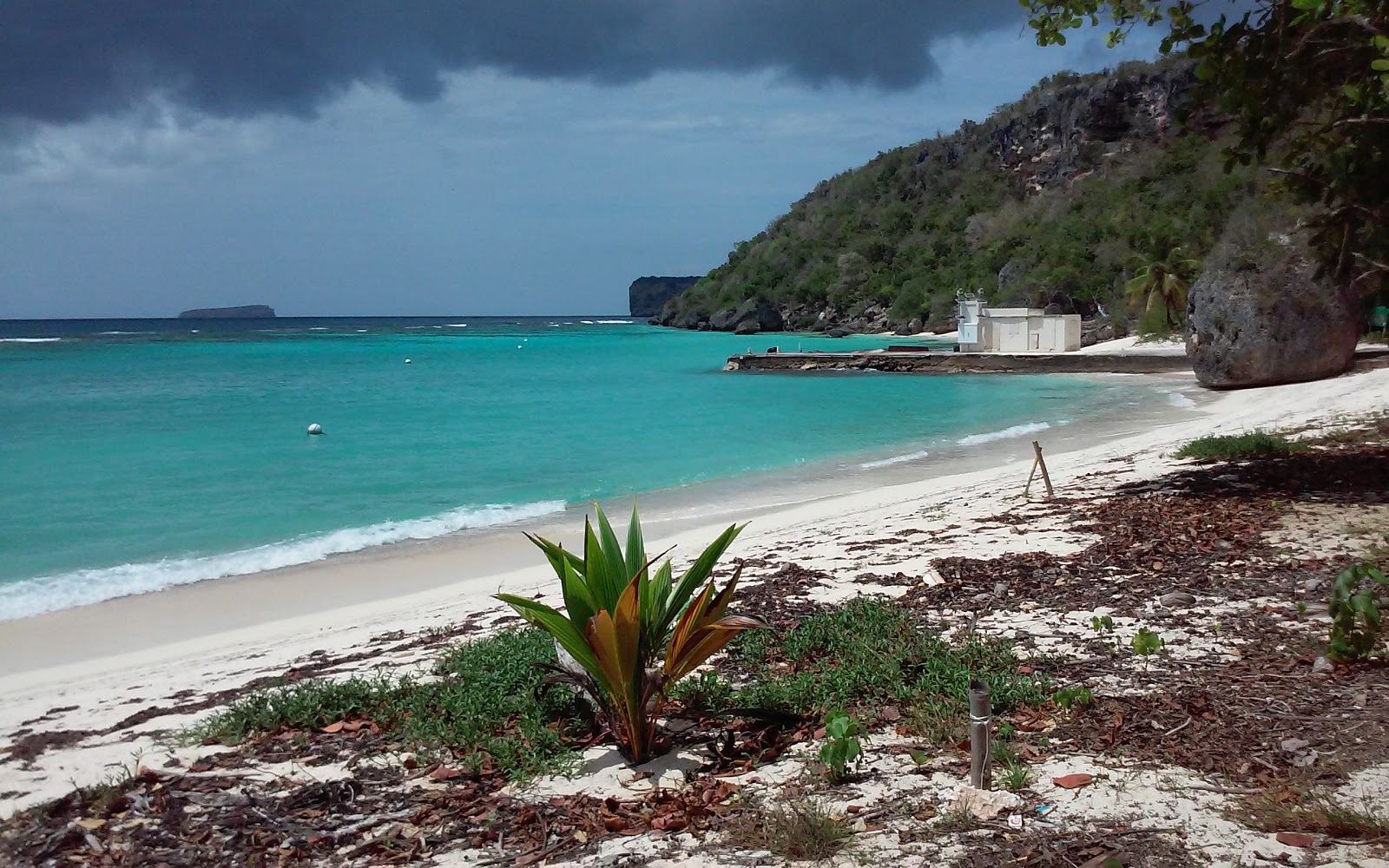 Φωτογραφία του Sardine beach με τυρκουάζ νερό επιφάνεια