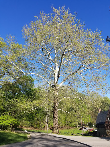 Museum «Audubon Museum & Nature Center», reviews and photos, 3100 US-41, Henderson, KY 42420, USA