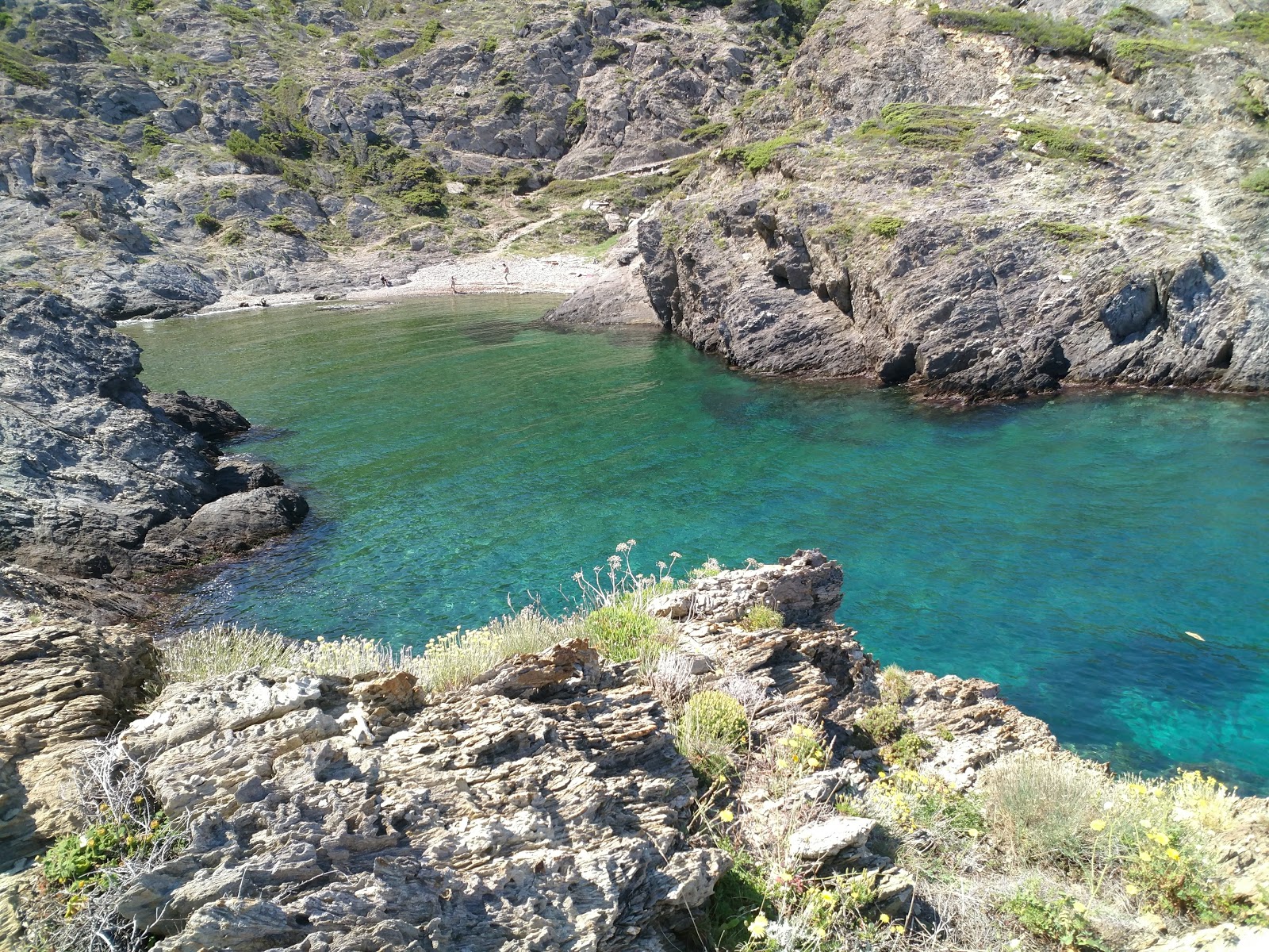 Foto von Cala Fornells mit teilweise sauber Sauberkeitsgrad