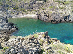 Photo de Cala Fornells zone sauvage
