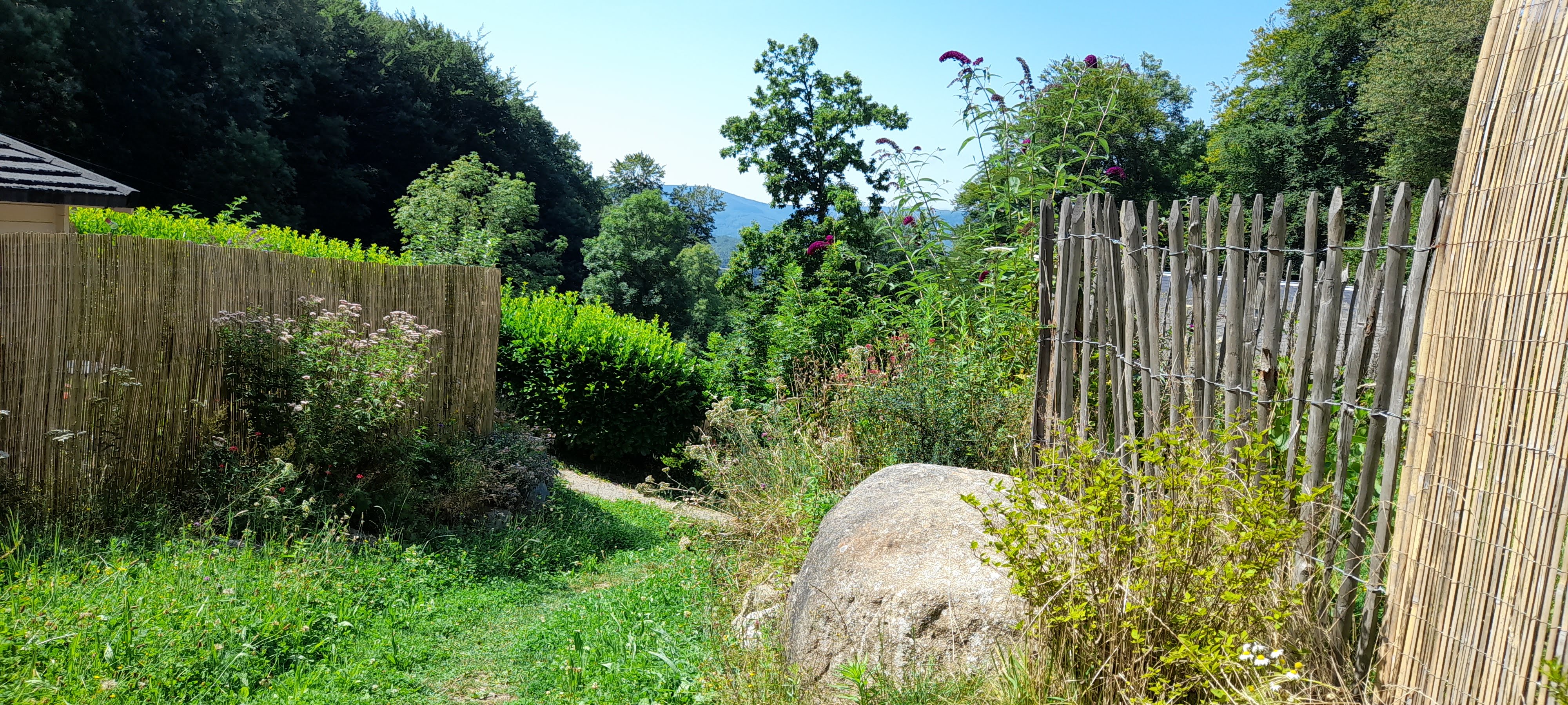 Photo n° 1 de l'avis de Albert.o fait le 15/08/2021 à 17:09