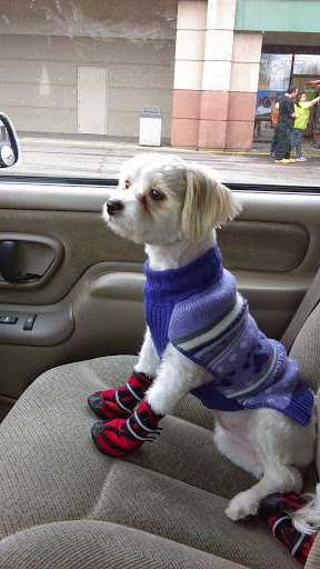 Pet Store «Petland», reviews and photos, 2123 Old Hudson Rd, St Paul, MN 55119, USA