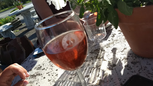 Vineyard «Anderson vineyard & Winery Inc», reviews and photos, 430 US-6, Valparaiso, IN 46383, USA