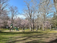 神楽岡公園 駐車場