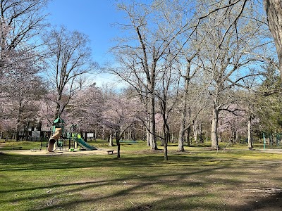 神楽岡公園 駐車場