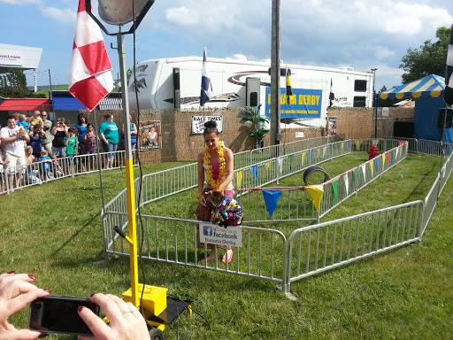 Amphitheater «Michigan Lottery Amphitheatre at Freedom Hill», reviews and photos, 14900 Metro Pkwy, Sterling Heights, MI 48312, USA