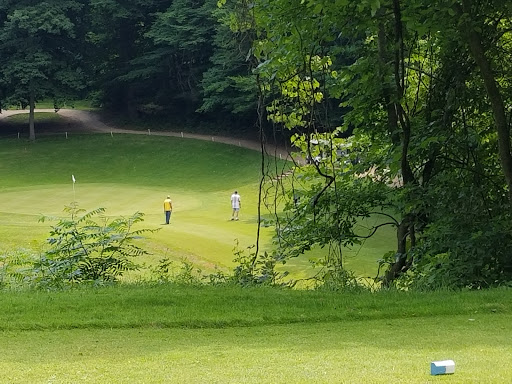 Golf Course «Pipestone Creek Golf Course», reviews and photos, 6768 Naomi Rd, Eau Claire, MI 49111, USA