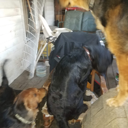 Pet Supply Store «Petco Animal Supplies», reviews and photos, 200 McMahan Blvd, Marion, OH 43302, USA