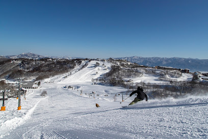 斑尾高原スキー場 Madarao Mountain Resort