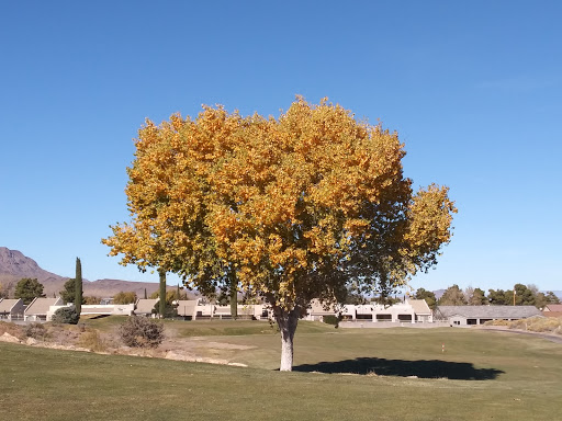 Golf Course «Cerbat Cliffs Golf Course», reviews and photos, 1001 Gates Ave, Kingman, AZ 86401, USA