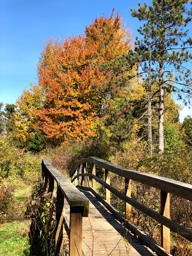 Nature Preserve «Reinstein Woods Nature Preserve», reviews and photos, 93 Honorine Dr, Depew, NY 14043, USA