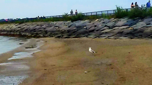 Park «Marine Park», reviews and photos, 49 Farragut Rd, Boston, MA 02127, USA