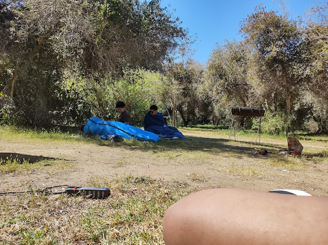 Camping Los Olivos - Camping