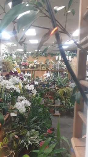 Florist «Joy Flower Shop», reviews and photos, 7630 Fair Oaks Blvd, Carmichael, CA 95608, USA