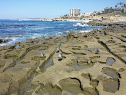 La Jolla Tide Pools'in fotoğrafı ve yerleşim