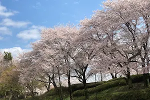 Kaminokawajoshi Park image